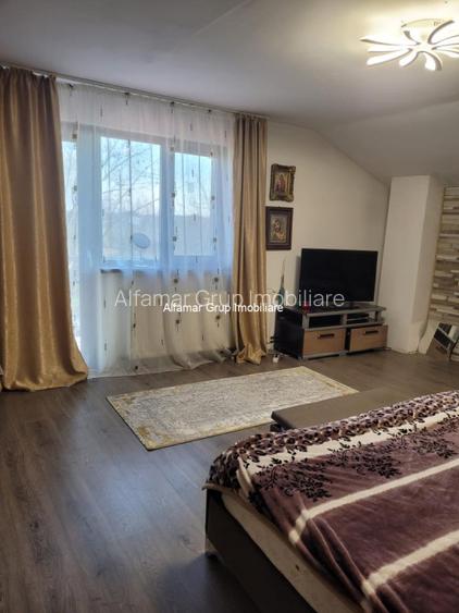 Vanzare proprietate cu 2 case Zurbaua- Dragomiresti Vale - 3