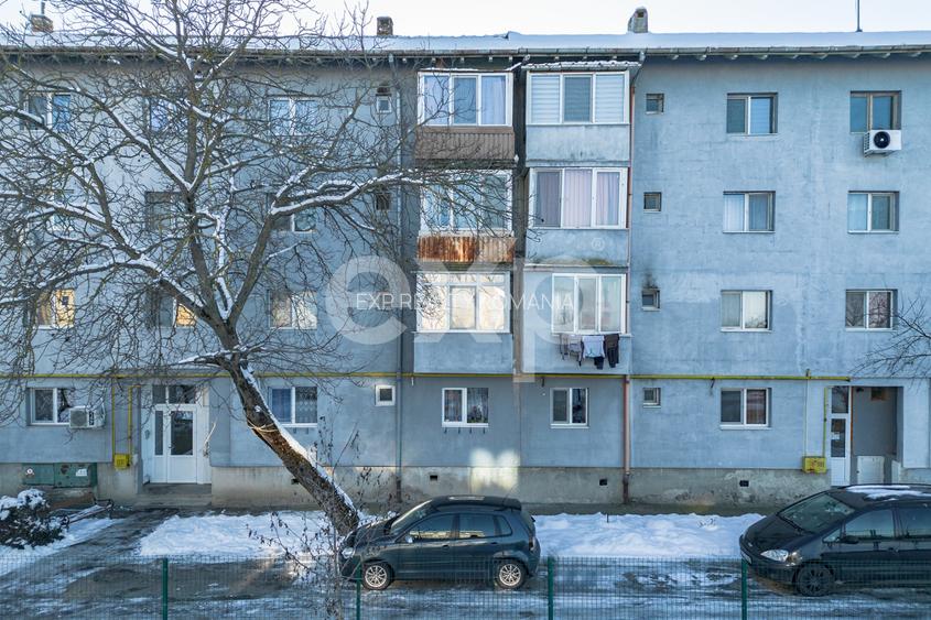 De vânzare apartament 3 camere decomandate, parter, stațiunea Buziaș - 9