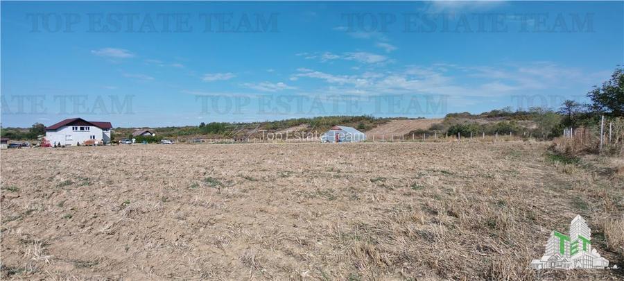 Ferma 3,3ha, din care 2,5ha intravilan, vila 7 camere, D+P+E+M, casa pentru munc - 6