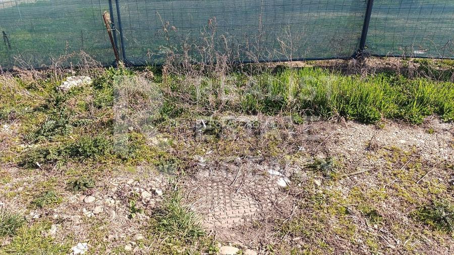 Teren generos 1044 mp aproape de Timișoara – ideal pentru investiție! - 5