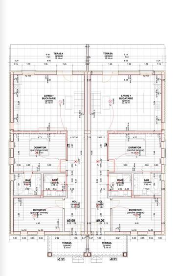 Duplex parter _Remetea Mare - 18