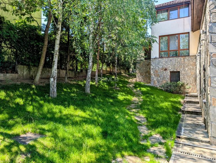 Mogosoaia,vila robusta cu vedere spectaculoasa catre lac,palat,parc,1750mp teren - 11