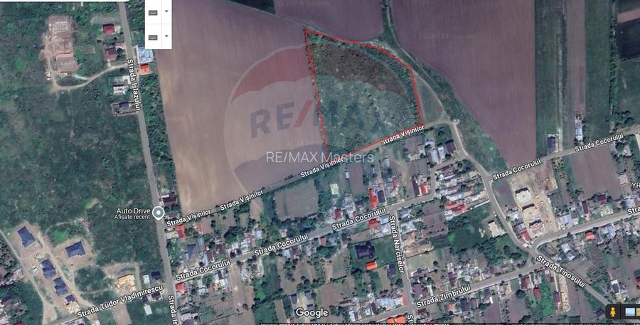 Teren Intravilan 16.700 Roman jud. Neamt / Strada Visinilor - 5