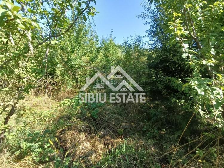 Teren  construibil ,la sosea, intre Vale si Sibiel, zona cu potential - 9
