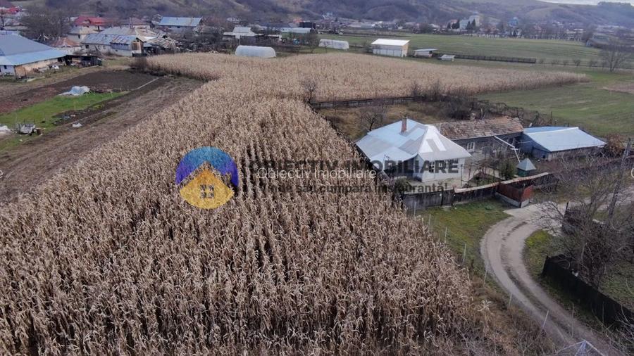 Casă + teren 2335 mp de vânzare – comuna Bodesti - 15