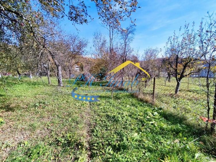 Teren intravilan de vanzare, Provita de Jos - 8