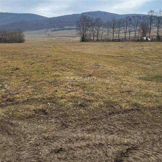 Teren pentru 2 case în Mera - 3