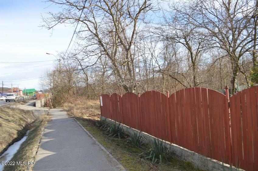 Valea Ursului - DN 7, Teren Stradal 2744 mp! - 5