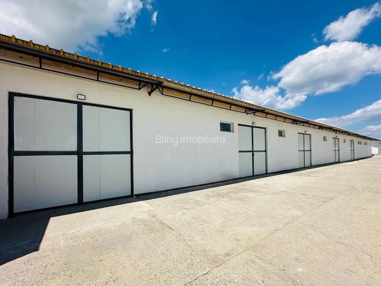 Hala 180 mp, renovata, acces TIR, utilitati disponibile, zona Valea Fanatelor - 6