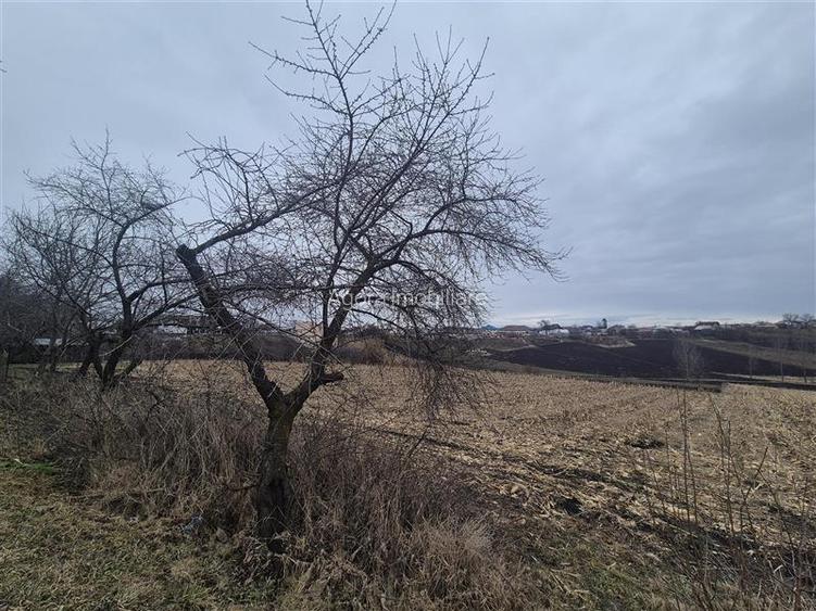 Teren Moara Nica - zona Scolii - 4