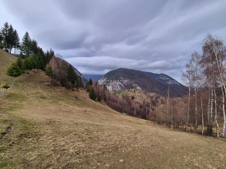 Teren cu energie speciala, Pestera/ 13570mp extravilan/Comision 0 % - 10