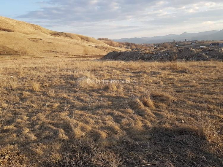 Teren intravilan 33000 mp, Piatra Neamt - 7