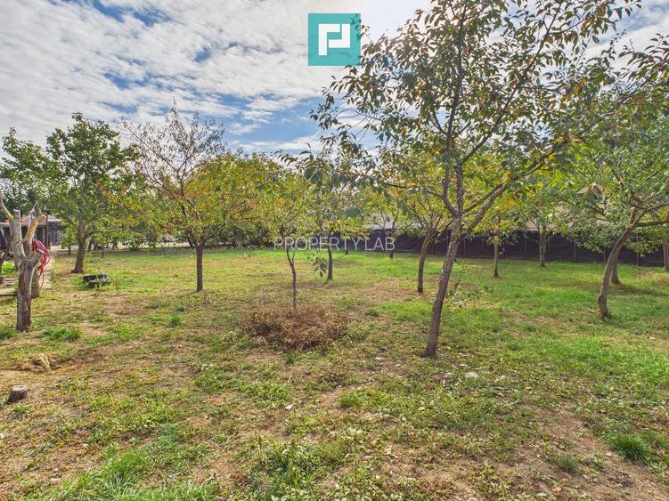 Teren pentru casă – Fântânele - 6