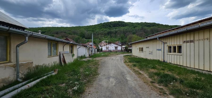 Teren + hale industriale 8785mp + casă–Oportunitate investiție / producție – - 23