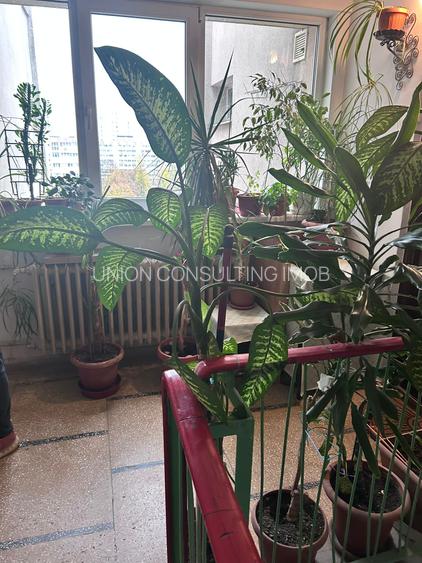 DRISTOR apartament renovat complet ,peste drum de park lake - 18