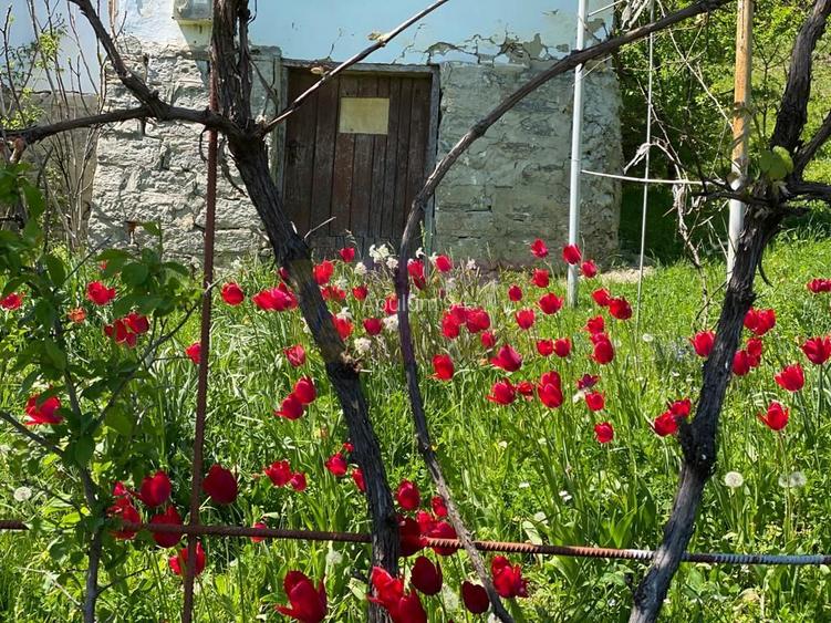 Casa demolabilă cu teren de vanzare in Breaza - 7