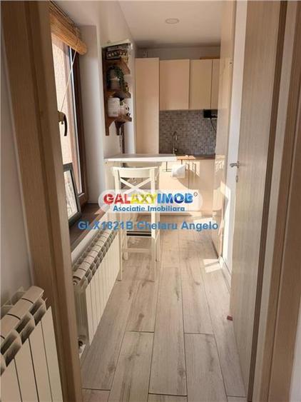 Unirii Parcul Carol Penthouse 3 cam.SU 115 mp,an 2018 - 22