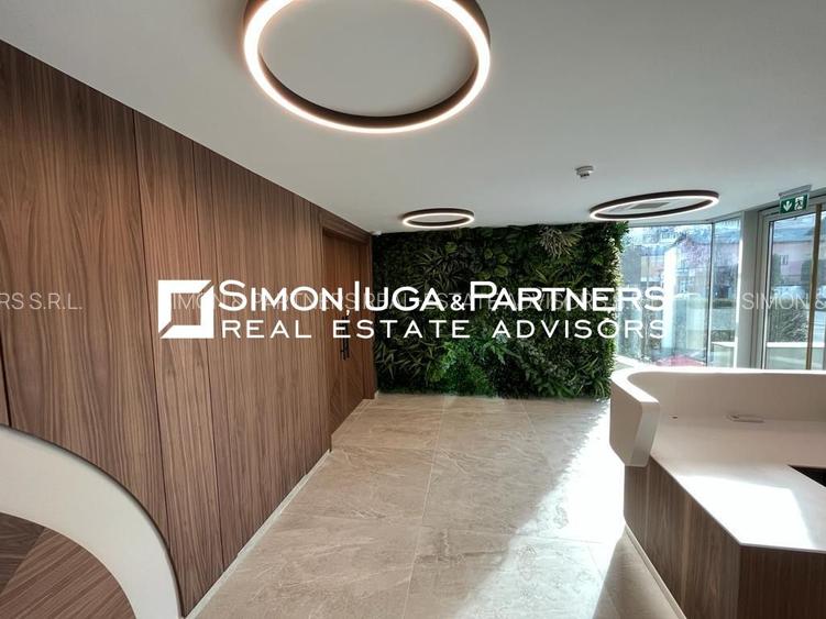 Birouri de inchiriat Brancusi - 2