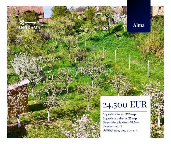 Teren Intravilan cu cabana  in satul transilvanean Alma - 2