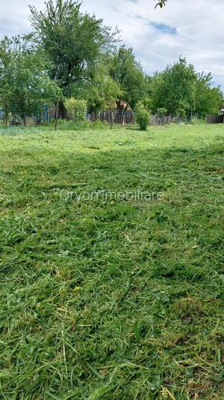 Teren intravilan, 1000 mp, Iezureni Gorj - 2