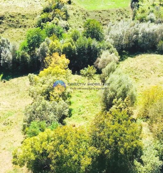 TEREN intravilan  2510 mp BORLEȘTI - ȘOVOAIA - 8