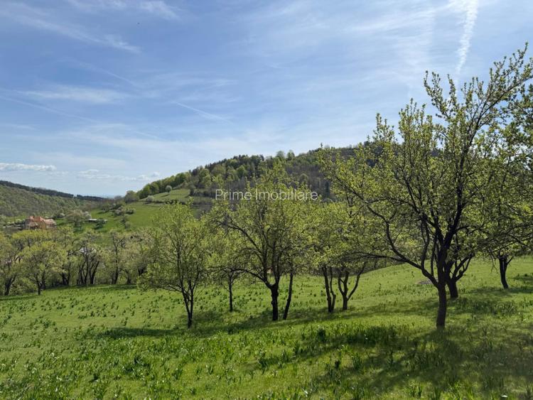 TEREN INTRAVILAN 8330 MP, INURI, VINTU DE JOS - 8