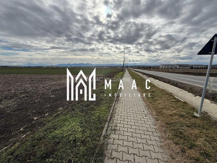 Teren intravilan | 9600 mp | Șură Mică | Utilități | Drum Asfaltat - 3