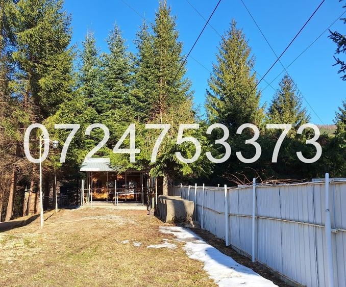 Cabană intravilan, teren 527mp lângă pădure și râu, Valea Popii, Mâneciu - 2