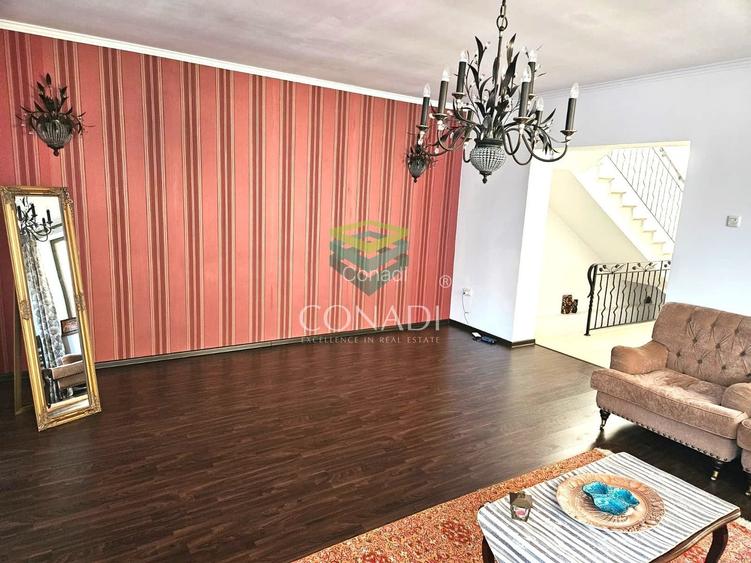 Domenii, vila cu 5 camere de inchiriat, 250 mp utili - 3