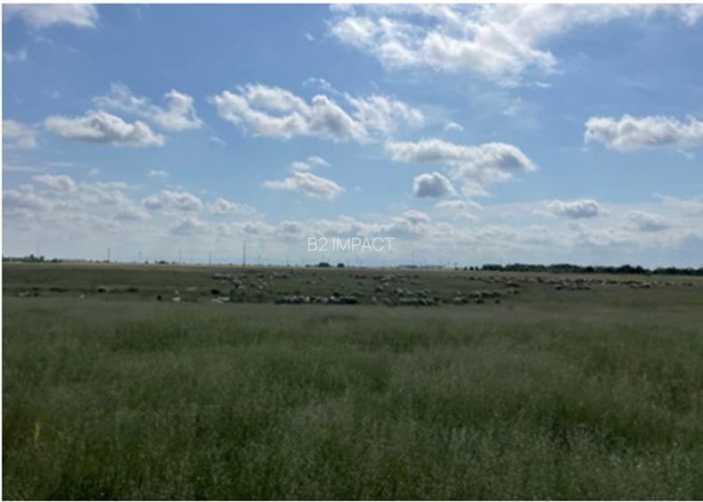 Teren intravilan - 8