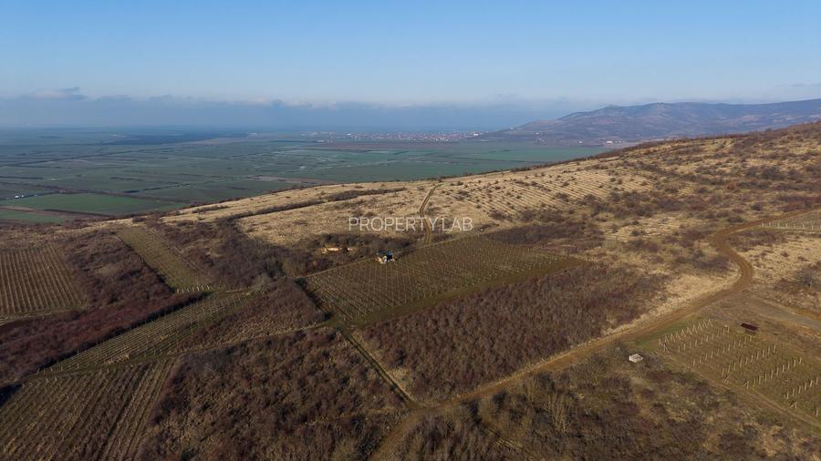 Vita-de-vie Premium  teren de 6800 mp în Covăsinț - 18