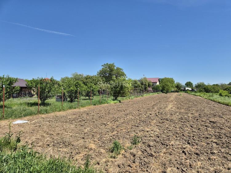 Teren intravilan 2658 mp cu bransament electric trifazic  - 1 Decembrie, Ilfov - 4