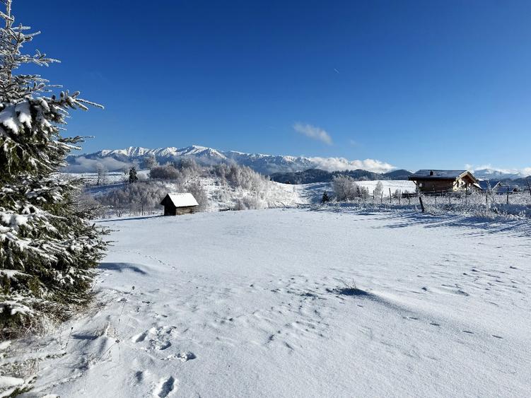 Teren satul Sirnea, intravilan, deschidere 120 m la drum asfaltat,  - 6