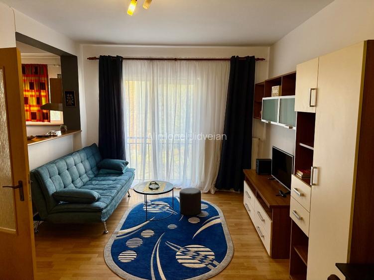 Apartament 1 camera -str Plopilor - 3