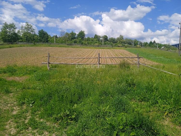 Casă cu teren 10000 mp - 15