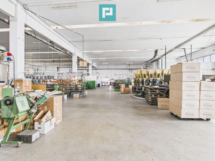 Hală de producție, cu birouri și teren, în Sebiș - 16