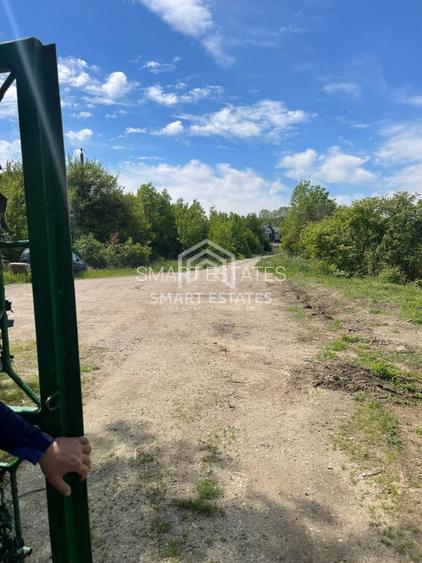 Lacul Snagov-Gruiu | Teren 1000 MP | d 24 m la lac | Pozitie excelenta - 8