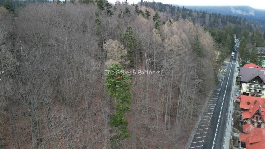 Teren in vecinatatea Castelului Peles - SINAIA - 22