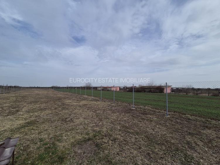 Caciulati, vanzare casa 3 camere la rosu, 400mp. teren - 10