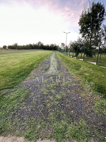 Domeniu privat, cu padure, cabana si teren de tenis, in Nadas