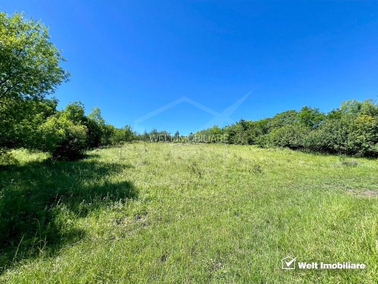 Oportunitate investitie, Chinteni, zona Macicas 31.600 MP - 6