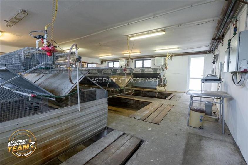 FILM! Ferma de iepuri,Malnas,Covasna: domeniu:comercial/industrial,asset UE - 13