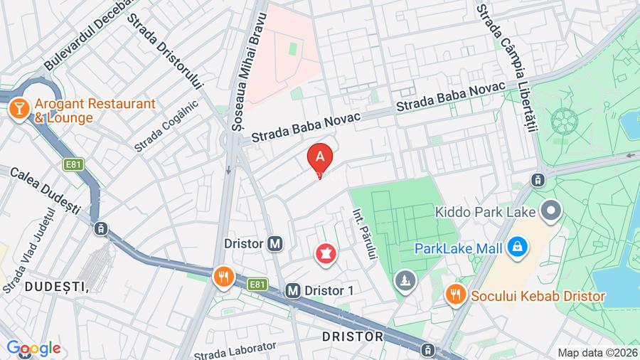 Teren + autorizatie vilă Baba Novac-Dristor - 4