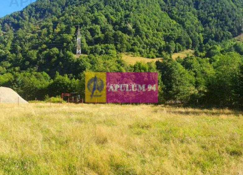 Teren Județul Vâlcea - Brezoi, Valea lui Stan - 21