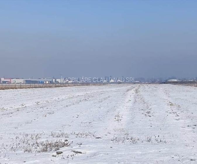 TEREN 1049 mp - INTRAVILAN DE CONSTRUCTII - 5