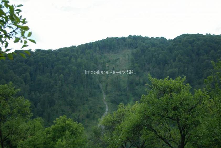 Teren agrement Voineasa IN SPATELE PRIMARIEI cu cabana ideal pentru pensiune - 5