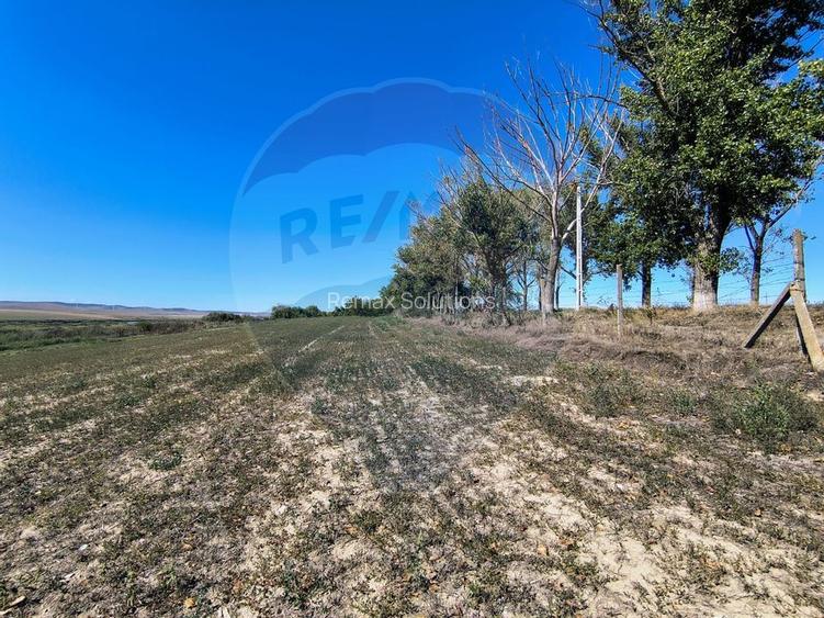 Teren extravilan de vanzare in Tulcea - 3