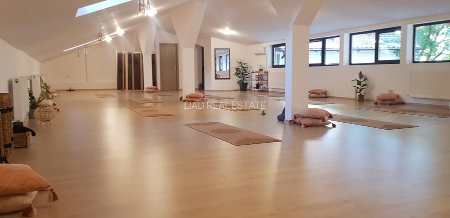 Studio sau birouri mansarda Universitate - strada Sfintilor 6 - 9