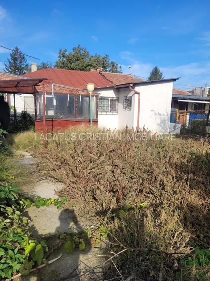 UNICAT! CASA CU TEREN 900MP ZONA COICIU - 11