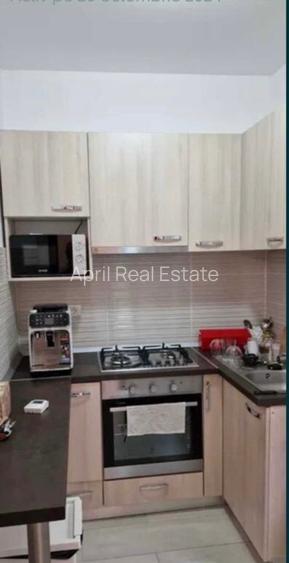 Tineretului, ap. 2 camere, 50mp, parter, curte 10mp, 650Euro/luna - 3